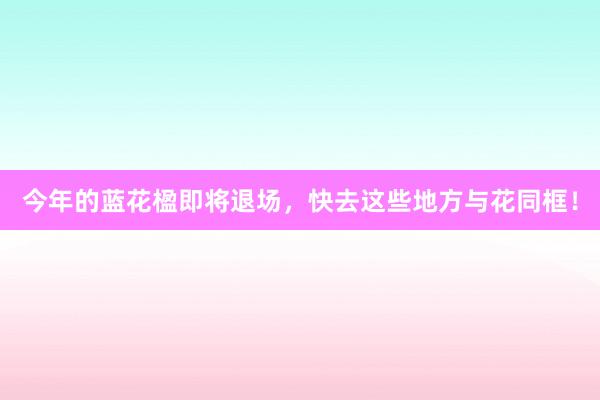 今年的蓝花楹即将退场，快去这些地方与花同框！