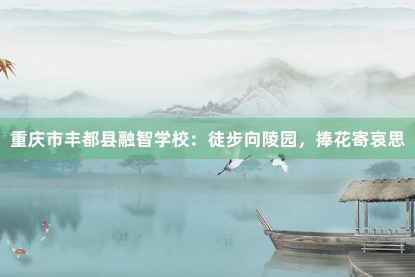 重庆市丰都县融智学校：徒步向陵园，捧花寄哀思